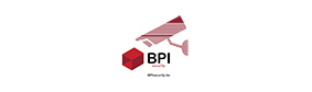 BPI SERVICE